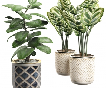 Modern Ground Green Plant Potted Plants-ID:164856916