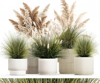 Modern Potted Green Plant-ID:448806054