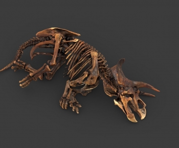 Modern Animal-ID:114865069