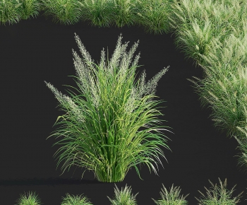 Modern The Grass-ID:309035063