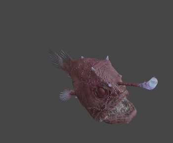 Modern Animal-ID:568264017