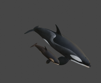 Modern Animal-ID:229774009