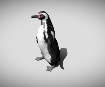 Modern Animal-ID:360343939