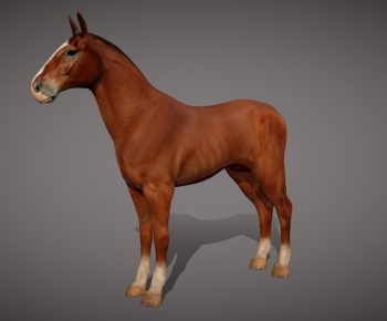 Modern Animal-ID:352350006