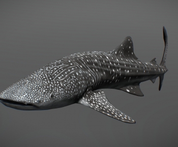 Modern Animal-ID:100660345