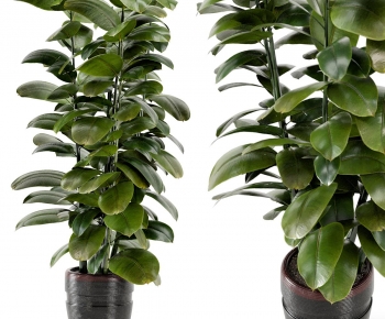 Modern Ground Green Plant Potted Plants-ID:817807915