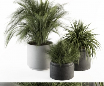 Modern Ground Green Plant Potted Plants-ID:521481026