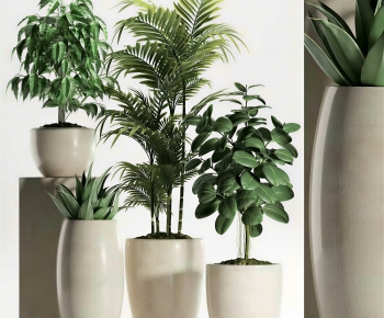 Modern Ground Green Plant Potted Plants-ID:408289443