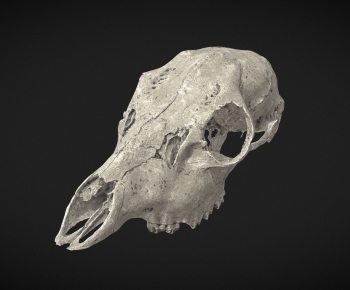 Modern Robot-ID:346334935