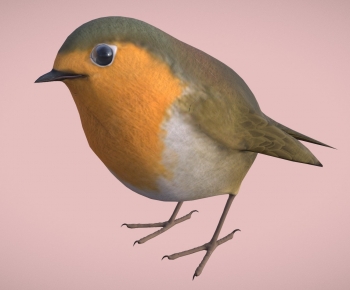 Modern Animal-ID:664503109