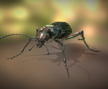 Modern Animal-ID:345993049