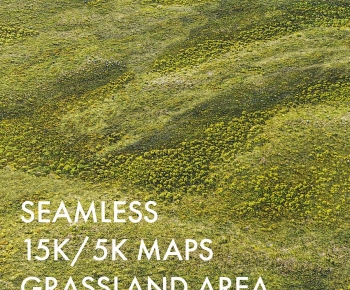 Modern Flowers And Grass-ID:896970991