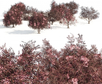 Modern Tree-ID:828569892