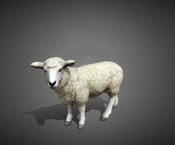 Modern Animal-ID:662180908