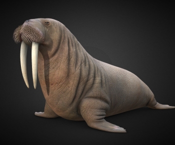 Modern Animal-ID:743141894