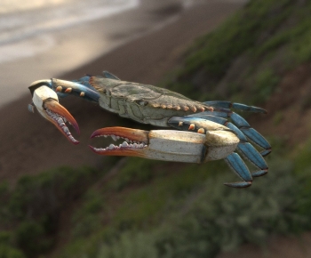 Modern Animal-ID:504616025