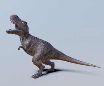 Modern Other Animals-ID:295922998