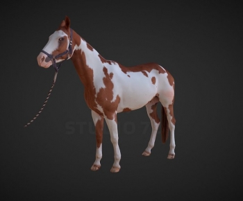 Modern Animal-ID:449300052