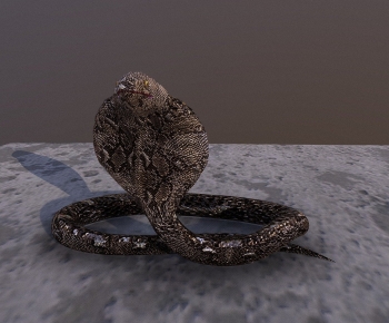 Modern Reptile-ID:769450902