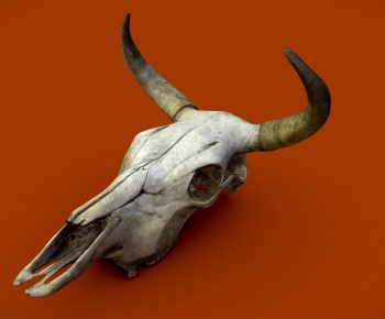 Modern Animal-ID:469532012