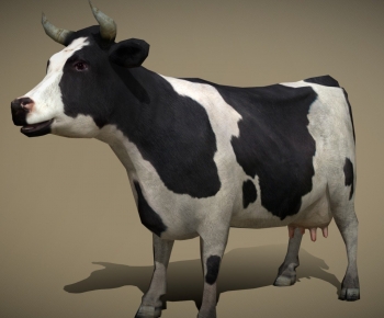 Modern Animal-ID:256650491