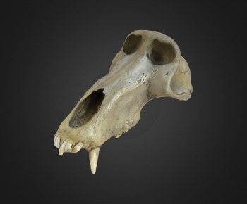 Modern Robot-ID:118026027