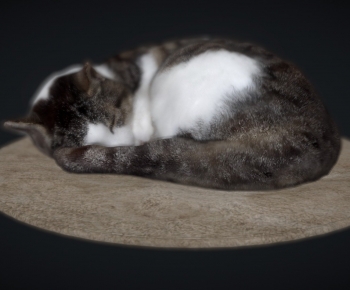 Modern Animal-ID:233318098