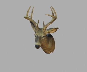 Modern Animal-ID:124289998