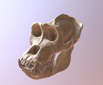 Modern Animal-ID:587121969