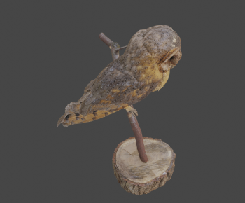 Modern Animal-ID:579530009