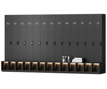 Modern Public Cabinet/lock Cabinet-ID:664000566