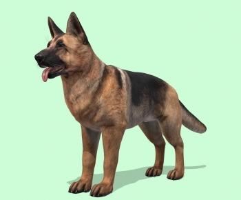 Modern Animal Dog-ID:484657057