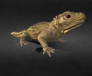 Modern Animal-ID:119860898