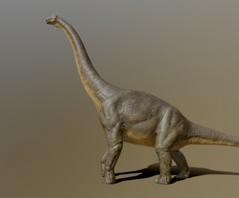 Modern Animal-ID:538028961