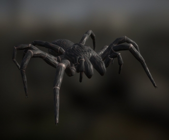 Modern Reptile-ID:480676893