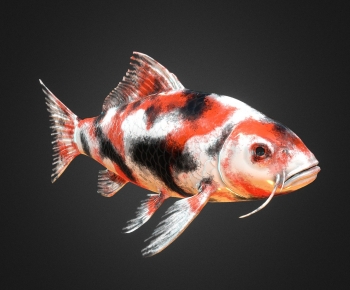 Modern Animal-ID:555372001