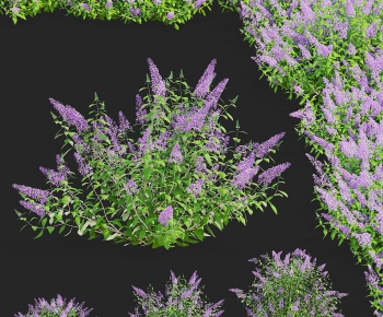 Modern The Grass-ID:990833047