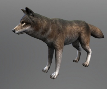 Modern Mammal-ID:874629031