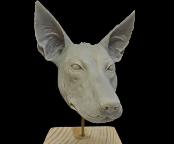 Modern Animal-ID:662564041