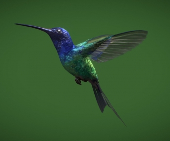 Modern Animal-ID:324752091