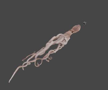 Modern Animal-ID:629779107