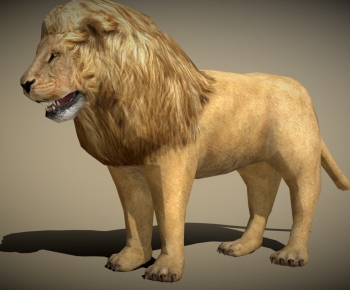 Modern Mammal-ID:353097923