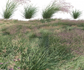 Modern The Grass-ID:539493086