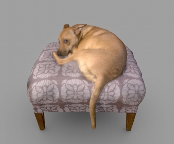 Modern Animal-ID:773041016