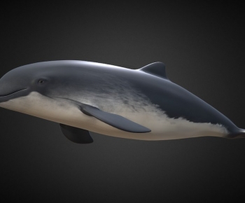 Modern Animal-ID:316860915