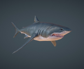 Modern Animal-ID:489741093