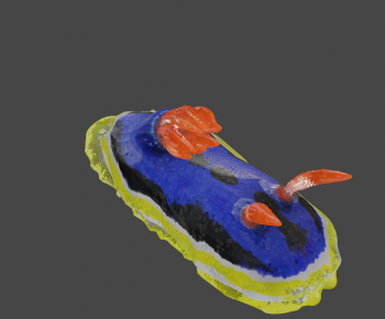 Modern Animal-ID:374522923