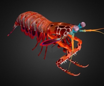 Modern Animal-ID:183545116