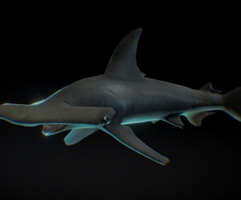 Modern Animal-ID:265791895