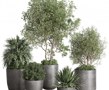 Modern Ground Green Plant Potted Plants-ID:438319921